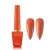 DGEL Signature Basic DS018 12 ml Flame Pea