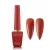 DGEL Signature Basic DS029 12 ml Chestnut Rose