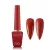DGEL Signature Basic DS030 12 ml Apple Blossom