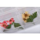 The Nail PRO Getrocknete Blumen Nageldekorationen
